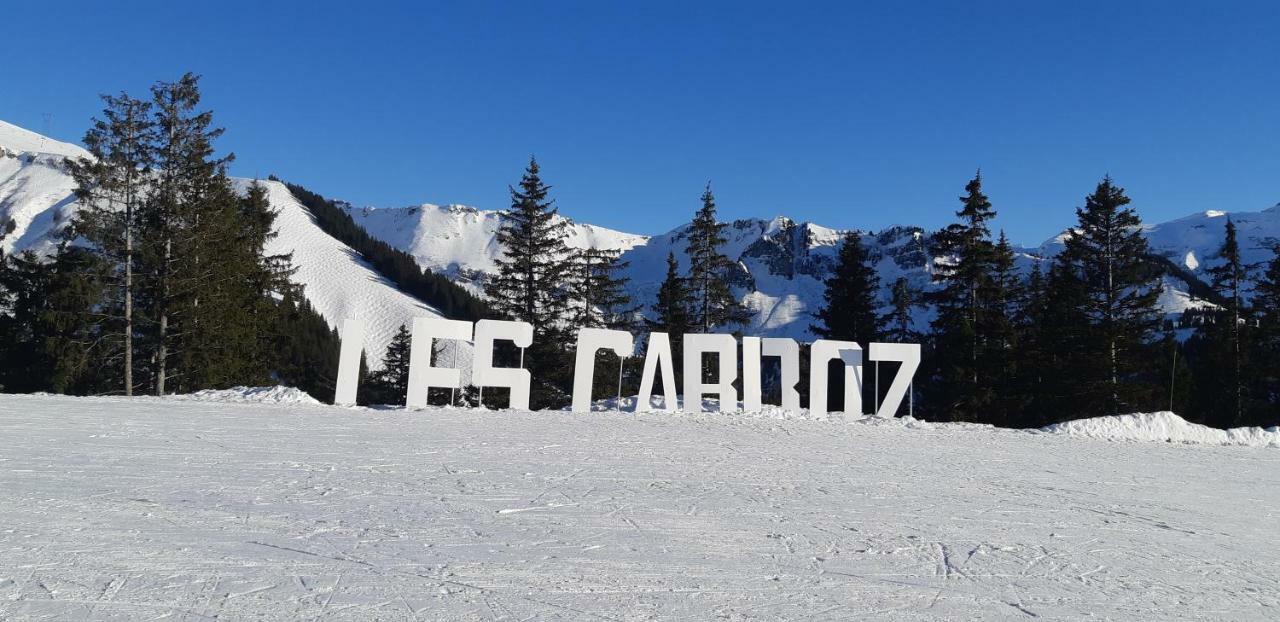 Grand Studio Les Carroz d'Araches Luaran gambar